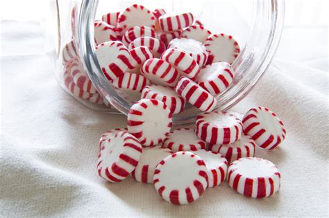 How many sugar are in mint chocolate candies - calories, carbs, nutrition