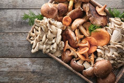 How many sugar are in mixed mushroom snack pot - calories, carbs, nutrition