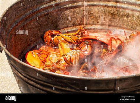 How many sugar are in new england lobster kettle - calories, carbs, nutrition