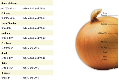 How many sugar are in onion vidalia diced 1/4