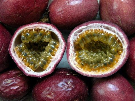 How many sugar are in passion-fruit, (granadilla), purple, raw - calories, carbs, nutrition