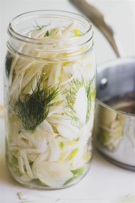 How many sugar are in pickeled fennel - calories, carbs, nutrition