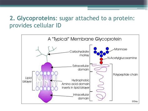 How many sugar are in protein zone - calories, carbs, nutrition