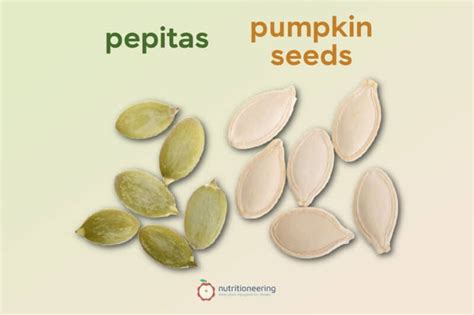 How many sugar are in pumpkin seeds pepitas 1 oz - calories, carbs, nutrition