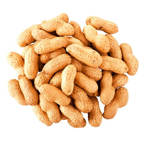 How many sugar are in roasted peanuts, no salt - calories, carbs, nutrition