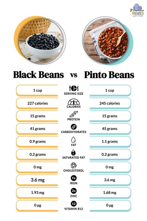 How many sugar are in sabores pinto beans - calories, carbs, nutrition