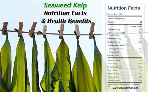 How many sugar are in seaweed, kelp, raw - calories, carbs, nutrition