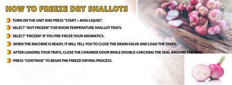 How many sugar are in shallots, freeze-dried - calories, carbs, nutrition