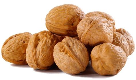 How many sugar are in shelled walnuts - calories, carbs, nutrition