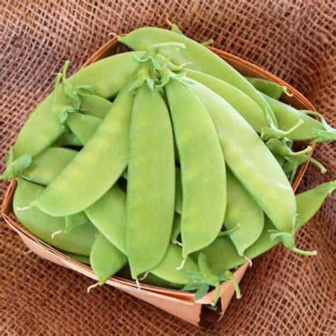 How many sugar are in snow peas with peppers - calories, carbs, nutrition