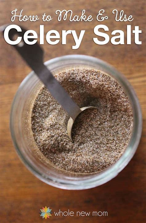 How many sugar are in spice celery salt 1 tsp - calories, carbs, nutrition