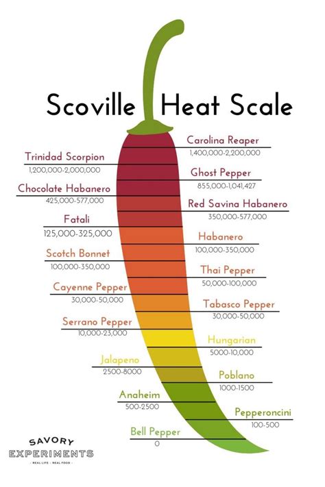 How many sugar are in spicy chili topping - calories, carbs, nutrition