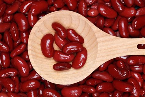 How many sugar are in spicy kidney beans - calories, carbs, nutrition