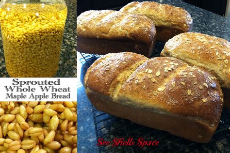 How many sugar are in sprouted whole wheat bread - calories, carbs, nutrition
