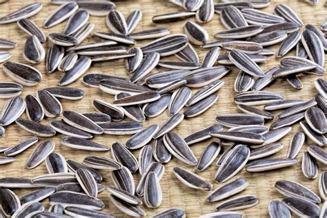 How many sugar are in sunflower seeds (in shell) - calories, carbs, nutrition