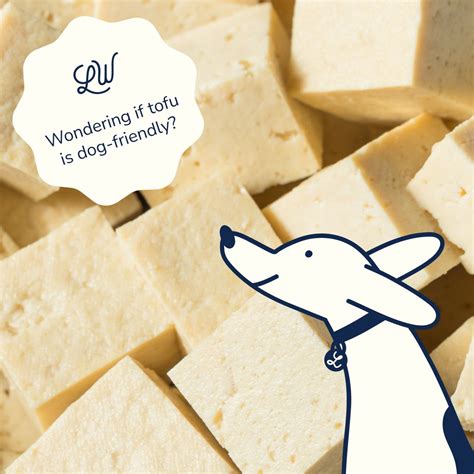 How many sugar are in tofu dogs - calories, carbs, nutrition