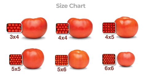 How many sugar are in tomato 6x6 sandwich slice 1/4