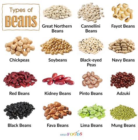 How many sugar are in tuscan beans - calories, carbs, nutrition