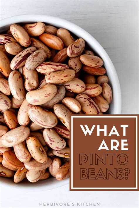 How many sugar are in vegetarian pinto beans - calories, carbs, nutrition