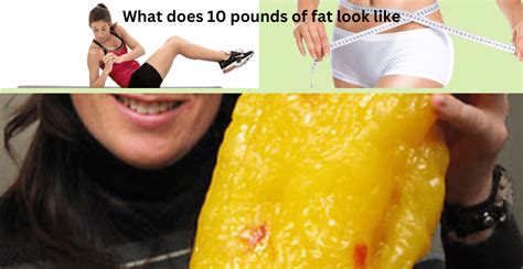 How much fat is in 10