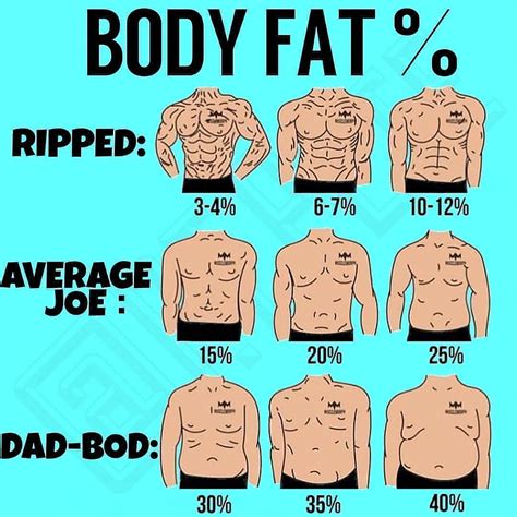 How much fat is in 2 to go - calories, carbs, nutrition