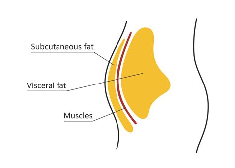 How much fat is in abb - calories, carbs, nutrition