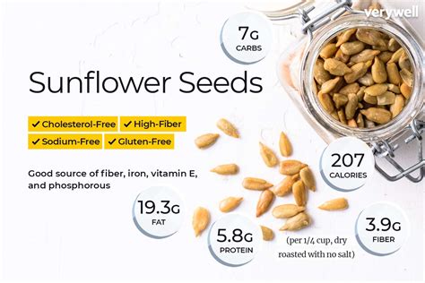 How much fat is in accompaniment - sunflower seeds - calories, carbs, nutrition