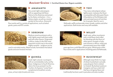 How much fat is in ancient grains - calories, carbs, nutrition
