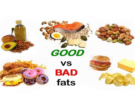 How much fat is in any fat - calories, carbs, nutrition