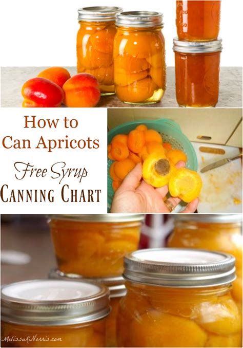 How much fat is in apricot conserve - calories, carbs, nutrition