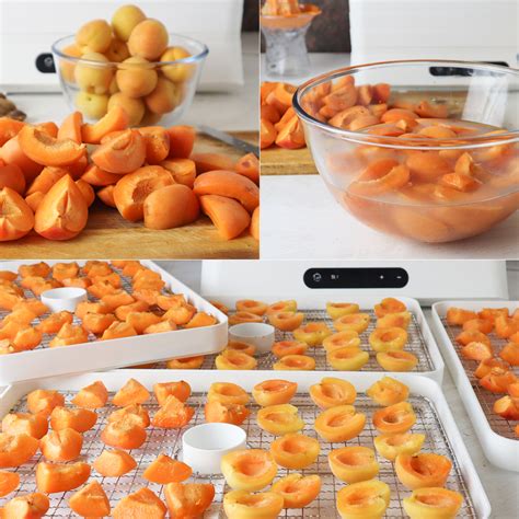 How much fat is in apricots, dried - calories, carbs, nutrition