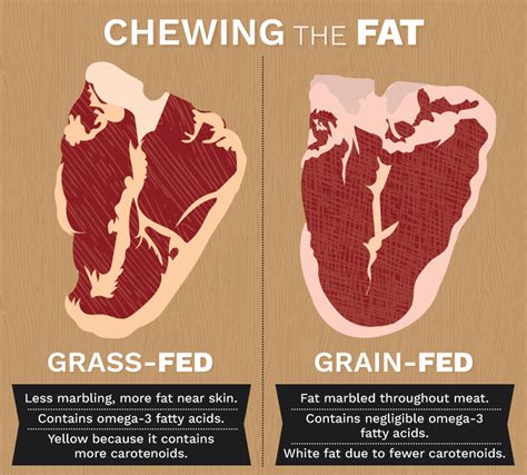 How much fat is in beef, australian, grass-fed, seam fat, raw - calories, carbs, nutrition