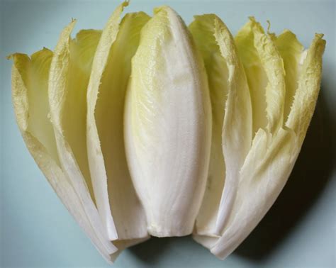 How much fat is in belgian endive chiffonade 1 oz - calories, carbs, nutrition