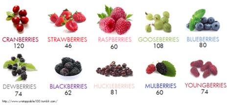 How much fat is in berries. t - calories, carbs, nutrition