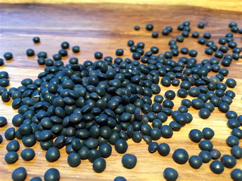 How much fat is in black lentils red onion (67804.0) - calories, carbs, nutrition