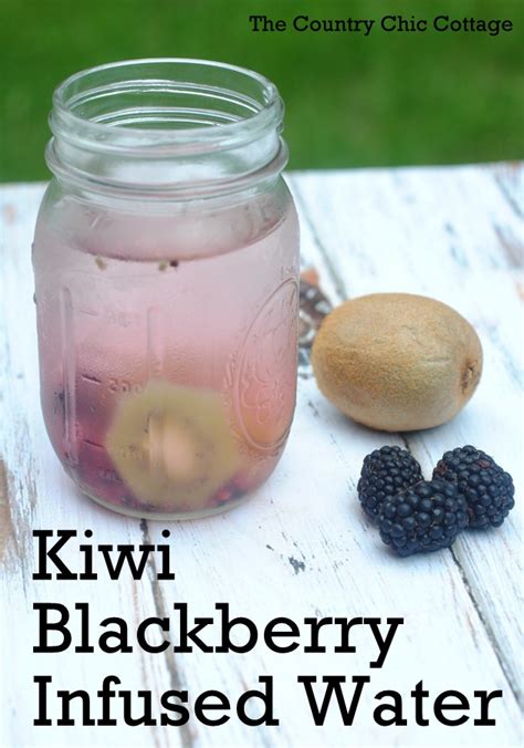 How much fat is in blackberry kiwi water - calories, carbs, nutrition