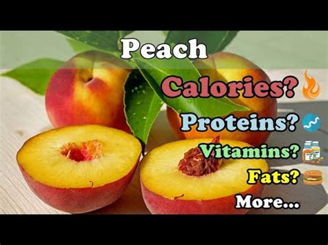 How much fat is in blendables peaches & cream parfait - calories, carbs, nutrition