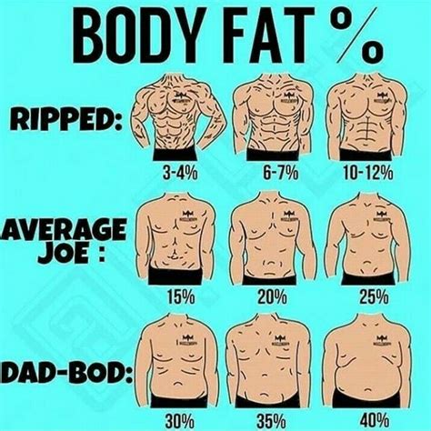 How much fat is in body by vi - calories, carbs, nutrition