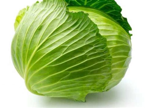 How much fat is in cabbage - calories, carbs, nutrition