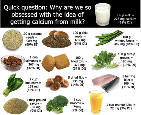 How much fat is in calcium - calories, carbs, nutrition