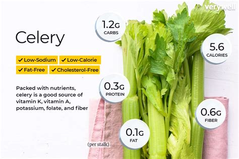 How much fat is in celery, fresh - calories, carbs, nutrition