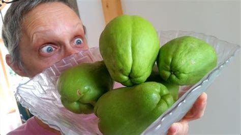 How much fat is in chayote squash - calories, carbs, nutrition