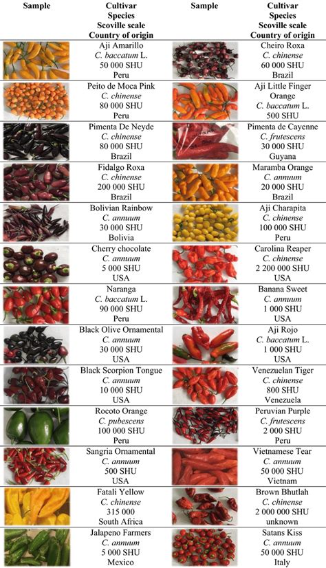 How much fat is in chilli & ginger spiced beef - calories, carbs, nutrition