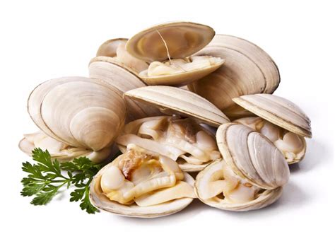 How much fat is in clams & winter vegetable with spicy slaw - calories, carbs, nutrition