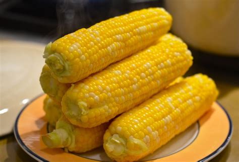 How much fat is in corn on the cob - calories, carbs, nutrition