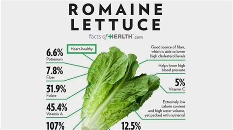 How much fat is in cos lerttuce - calories, carbs, nutrition