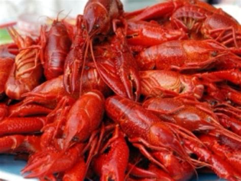 How much fat is in crayfish - calories, carbs, nutrition