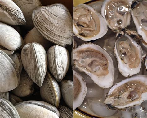 How much fat is in crispy oysters and clams - calories, carbs, nutrition