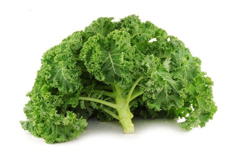 How much fat is in curly kale - calories, carbs, nutrition