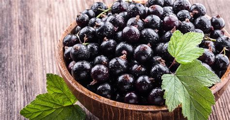 How much fat is in currants, european black, raw - calories, carbs, nutrition